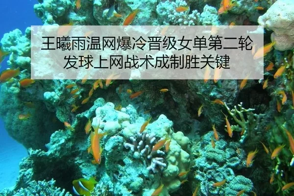 wang-xi-yu-wen-wang-bao-leng-jin-ji-nv-dan-di-er-lun-fa-qiu-shang-wang-zhan-shu-cheng-zhi-sheng-guan-jian-2-401.jpg